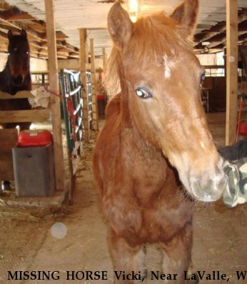 MISSING HORSE Vicki, Near LaValle, WI, 53941